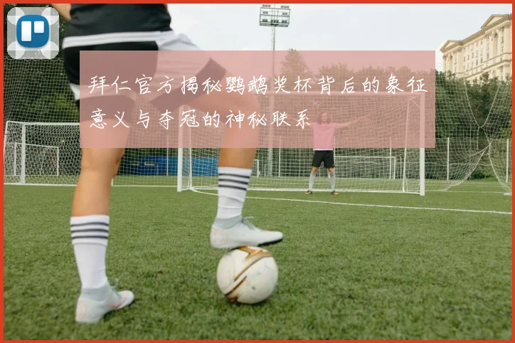 拜仁官方揭秘鹦鹉奖杯背后的象征意义与夺冠的神秘联系